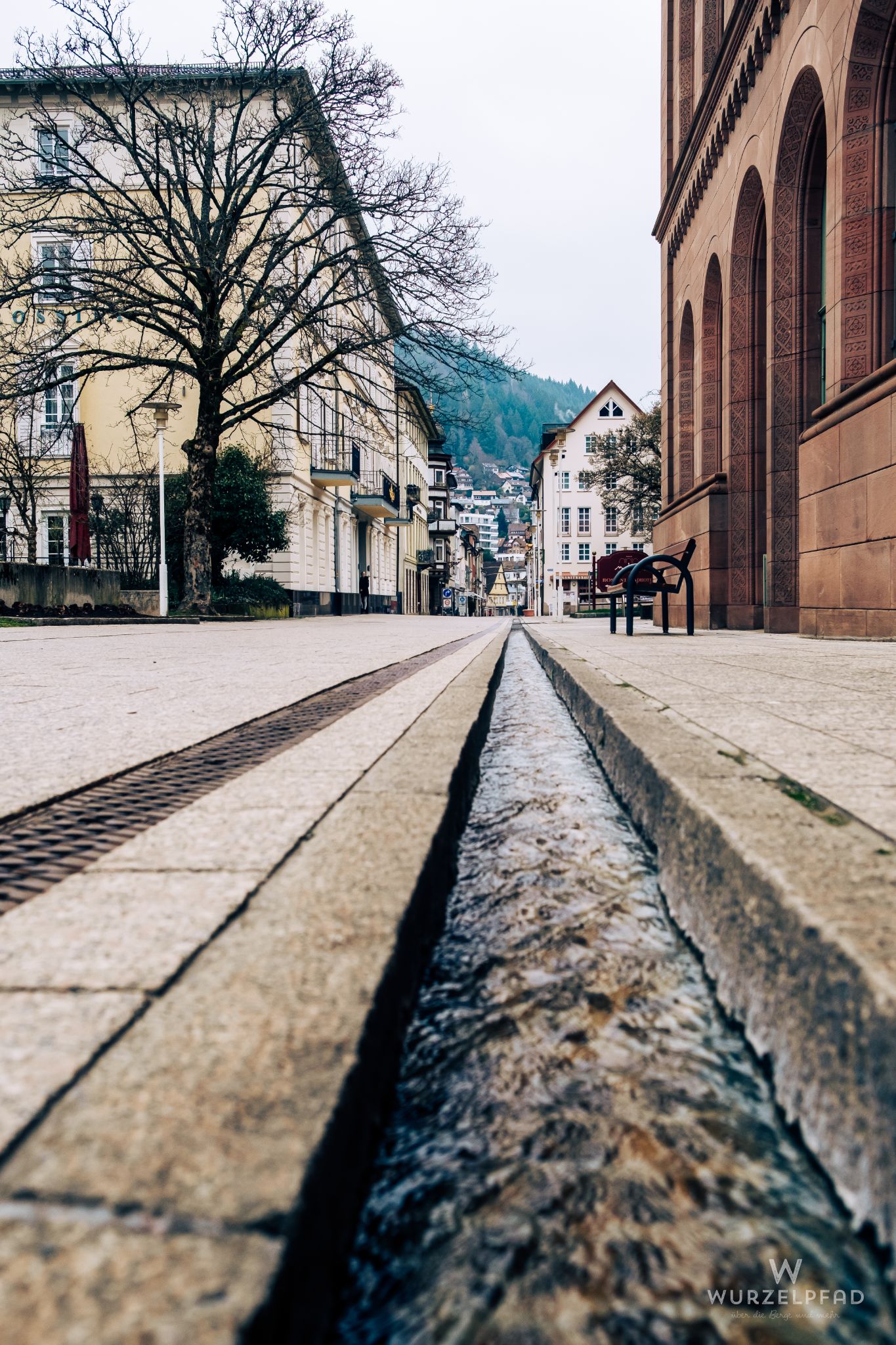 Bächle in Bad Wildbad